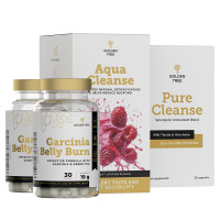 Antioxidant Activity