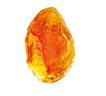 INAVEA™ Essential