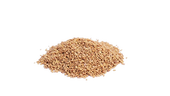 Fenugreek seed