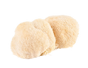 Lion’s Mane