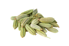 Fennel