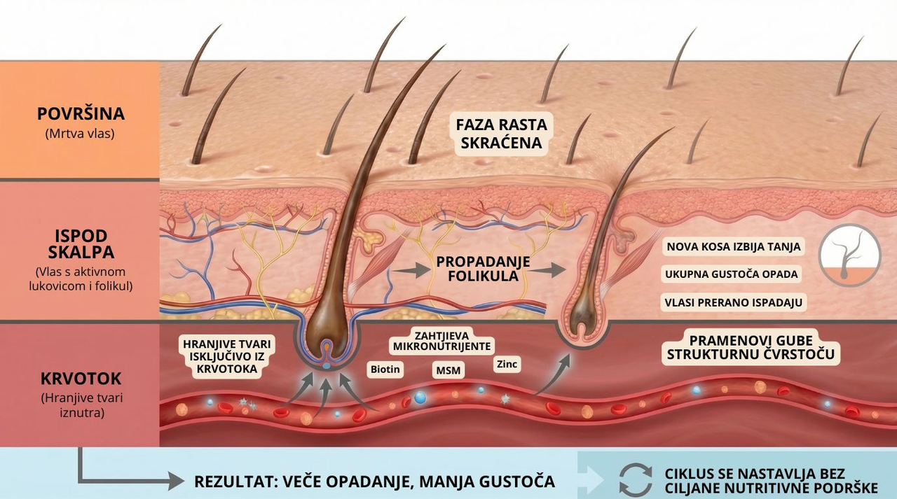 Topikalna njega kose ne može zaustaviti propadanje folikula