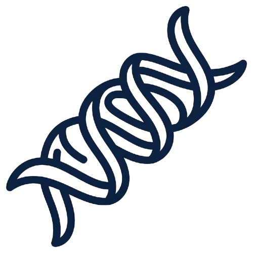 Unterstützung der Keratinstruktur