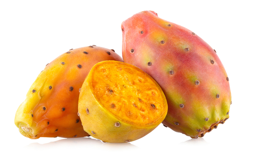 Neopuntia™ (Opuntia ficus indica)