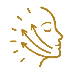 Mechanism step icon graphic