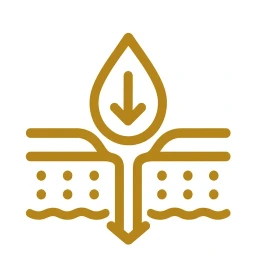 Mechanism step icon graphic