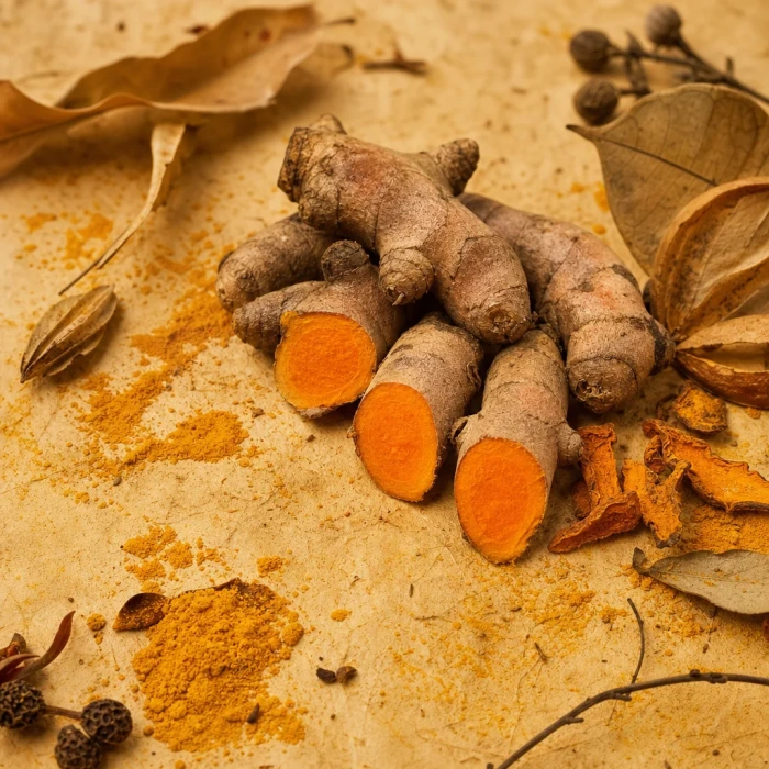 Turmeric root slices on handmade paper