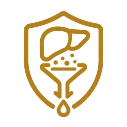 Gold detoxify shield icon on white