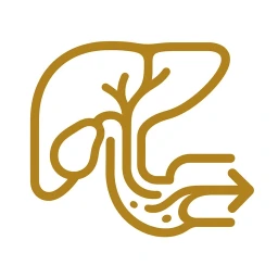 Gold bile flow wave arrow icon