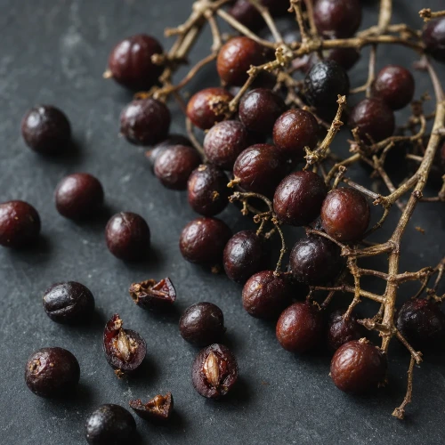 Saw palmetto berries on dark slate