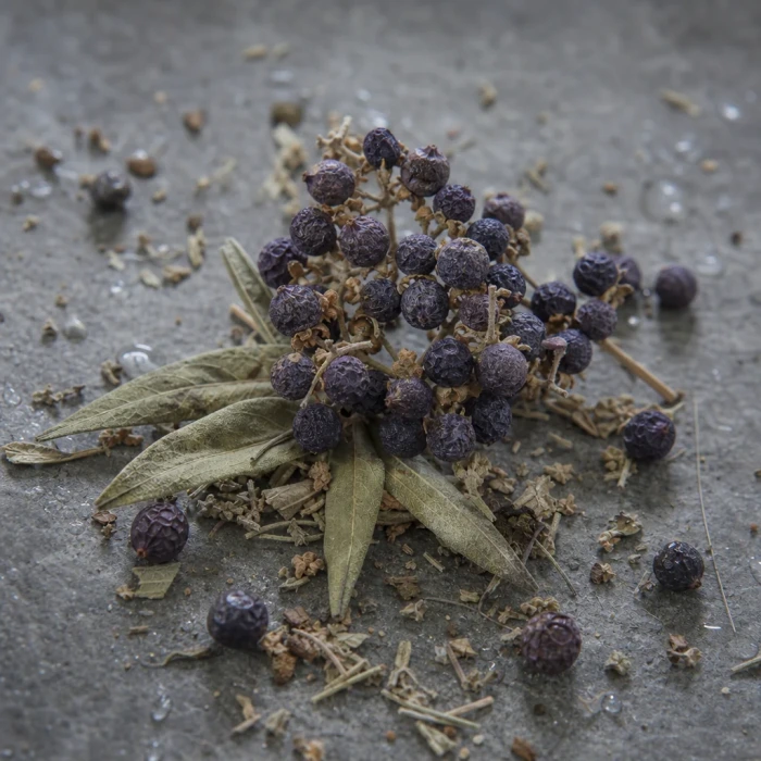 Getrocknete Vitex-agnus-castus-Beeren auf einem Mineralstein
