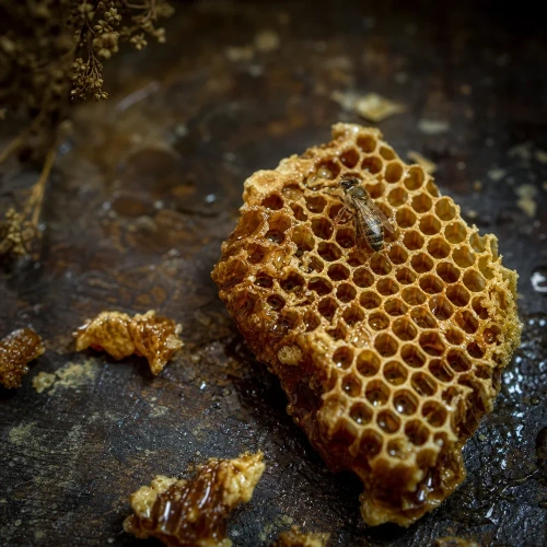 Raw honeycomb and bee venom macro