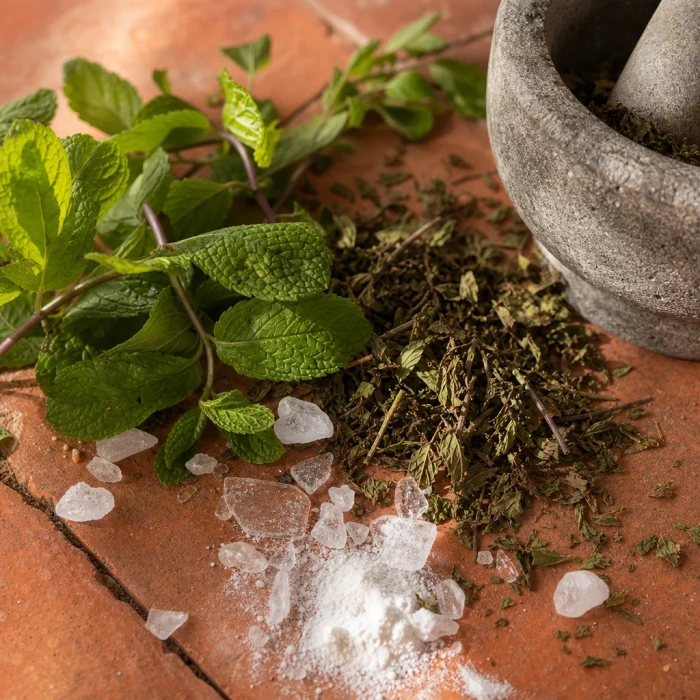 Peppermint leaves on terracotta clay surface