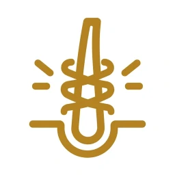 Bold gold reinforcement strand icon