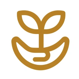 Gold seedling feed icon white background