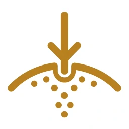Absorption arrow through membrane gold icon