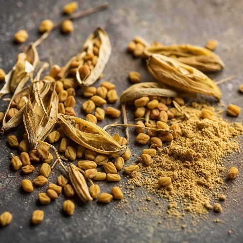 Fenugreek seeds and pods on slate