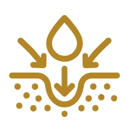 Bold gold inward arrows absorb icon
