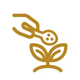 Gold feed nourishment icon on white