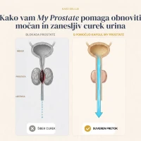 My Prostate