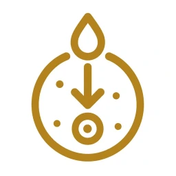 Gold absorption arrow into cell icon