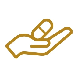 Gold hand holding capsule icon