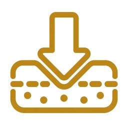 Gold absorption arrow into membrane icon