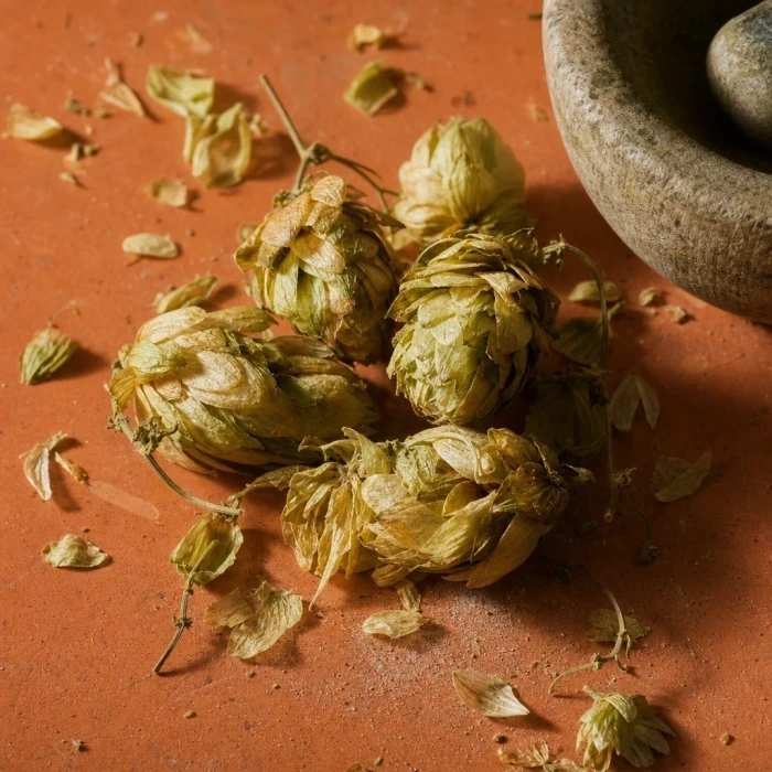 Dried hop cones on terracotta with mortar