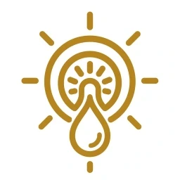 Gold calendar routine icon