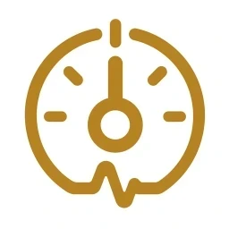 Regulate step icon in gold