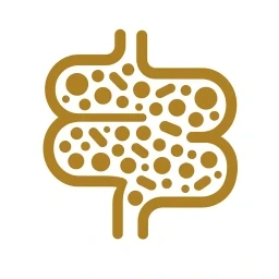 Icono dorado de colonización en grupo sobre fondo blanco