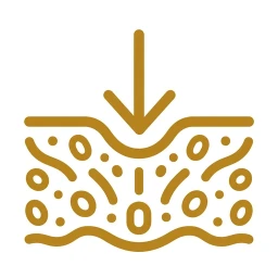 Absorption penetration arrow icon