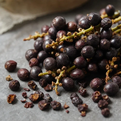 Macro saw palmetto berries on slate