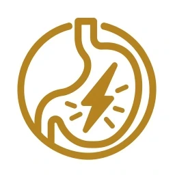 Symbol goldener Magen Verdauung weißer Hintergrund