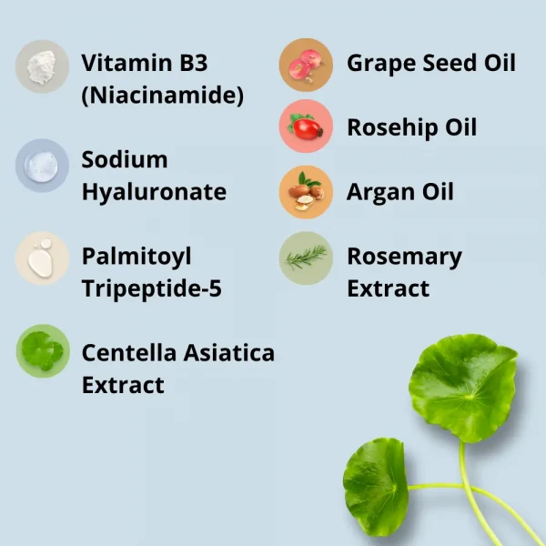 Ageless Anti-wrinkle face cream