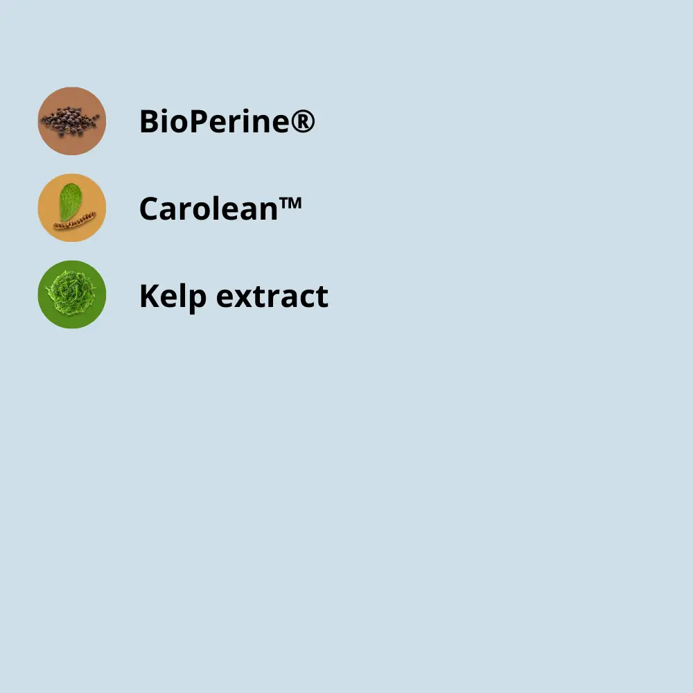 Golden Tree GLP-1 Supreme | Supports appetite management