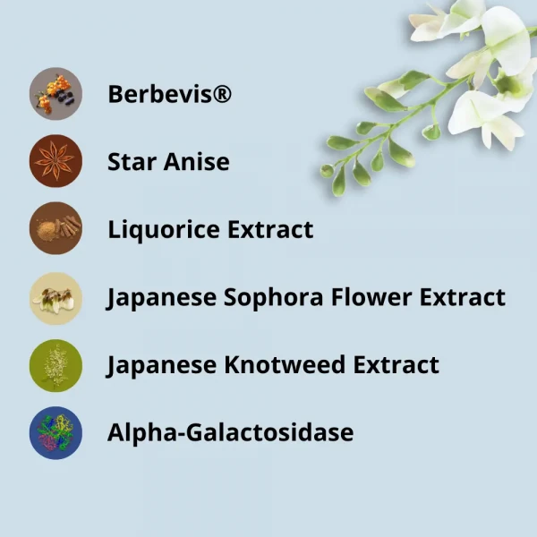 Gut Relief Premium gut support formula