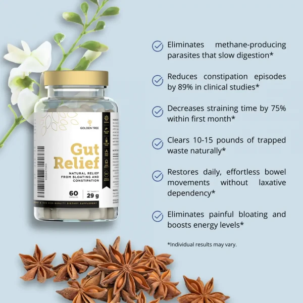 Gut Relief Premium gut support formula