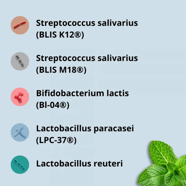 Oral Biotics Lactic acid bacteria complex for oral hygiene