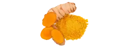 Izvleček kurkume (Curcuma longa)