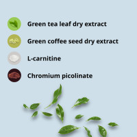 Golden Tree Slim Coffee Booster | Jutranji termogenik