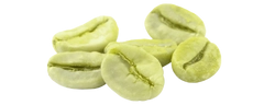 Suhi izvleček iz semen zelene kave (Coffea arabica)
