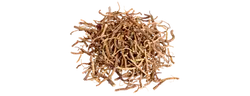 Valeriaanwortelextract (Valeriana officinalis)