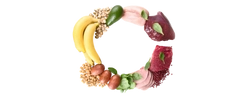 Vitamine B6