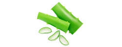 Succo di foglie di aloe vera