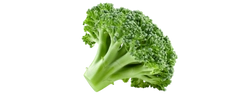 Extrakt z brokolice