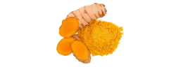 Extrait de curcuma (Curcuma longa)