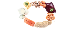 Vitamin B12