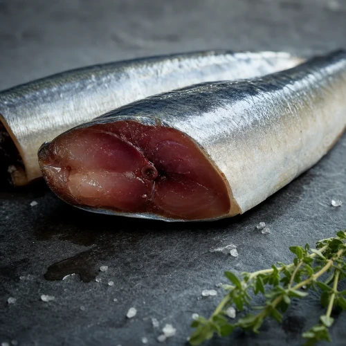Fresh mackerel fish oil macro editorial