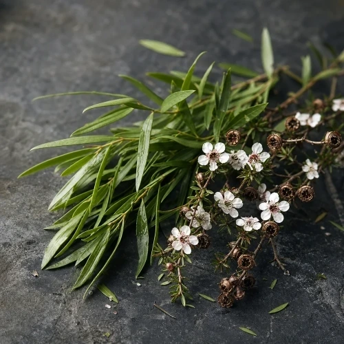 Hero ingredient macro photo
